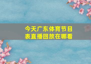 今天广东体育节目表直播回放在哪看