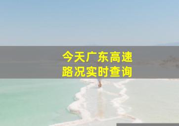 今天广东高速路况实时查询