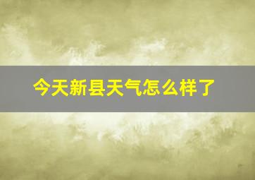 今天新县天气怎么样了