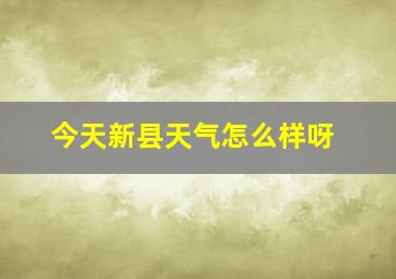 今天新县天气怎么样呀