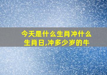 今天是什么生肖冲什么生肖日,冲多少岁的牛