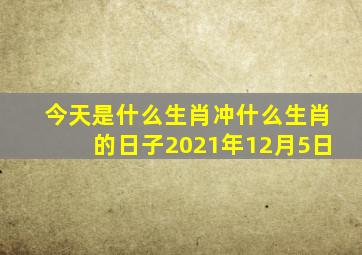 今天是什么生肖冲什么生肖的日子2021年12月5日