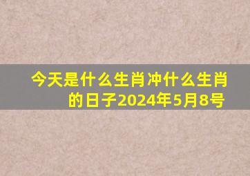 今天是什么生肖冲什么生肖的日子2024年5月8号