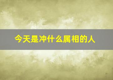 今天是冲什么属相的人