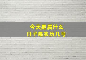 今天是属什么日子是农历几号