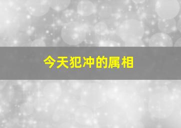 今天犯冲的属相