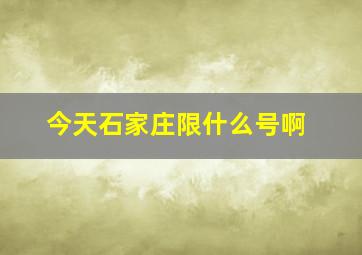 今天石家庄限什么号啊