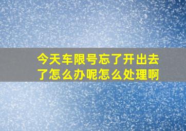 今天车限号忘了开出去了怎么办呢怎么处理啊