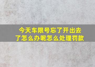 今天车限号忘了开出去了怎么办呢怎么处理罚款