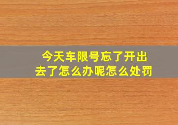 今天车限号忘了开出去了怎么办呢怎么处罚