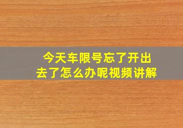 今天车限号忘了开出去了怎么办呢视频讲解