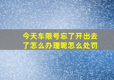 今天车限号忘了开出去了怎么办理呢怎么处罚