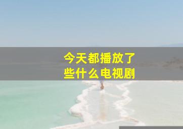 今天都播放了些什么电视剧