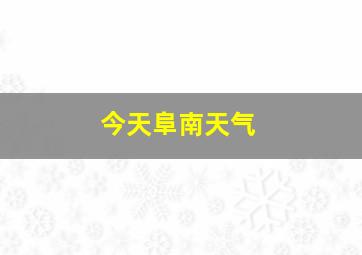 今天阜南天气