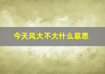 今天风大不大什么意思