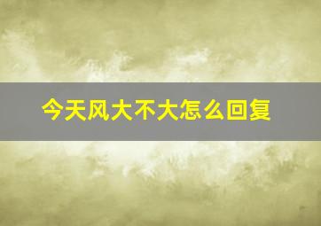 今天风大不大怎么回复