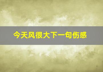 今天风很大下一句伤感