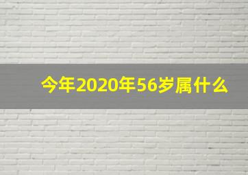 今年2020年56岁属什么