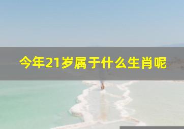 今年21岁属于什么生肖呢