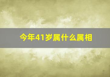 今年41岁属什么属相