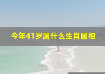 今年41岁属什么生肖属相