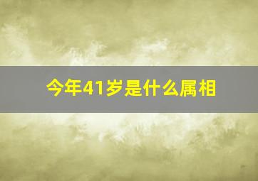 今年41岁是什么属相