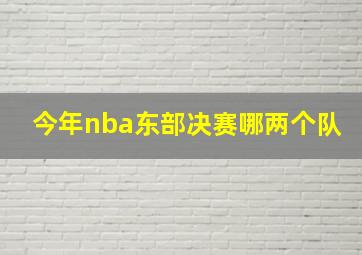 今年nba东部决赛哪两个队