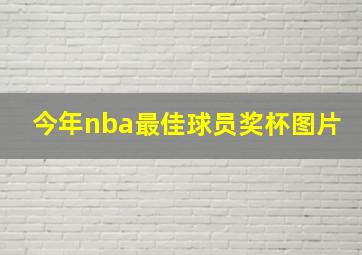 今年nba最佳球员奖杯图片