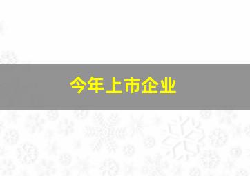 今年上市企业