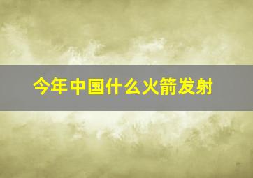 今年中国什么火箭发射