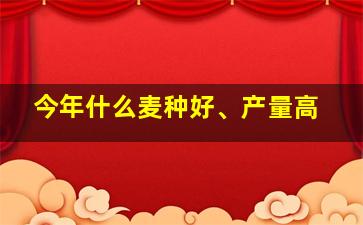 今年什么麦种好、产量高