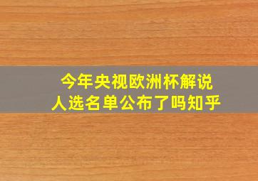 今年央视欧洲杯解说人选名单公布了吗知乎