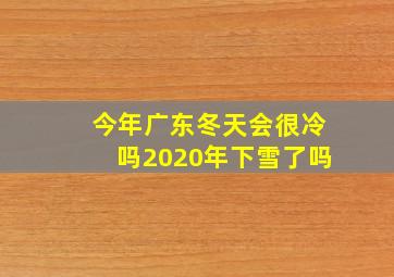 今年广东冬天会很冷吗2020年下雪了吗