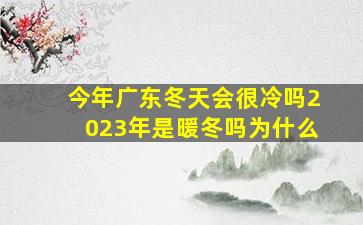 今年广东冬天会很冷吗2023年是暖冬吗为什么