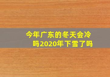 今年广东的冬天会冷吗2020年下雪了吗