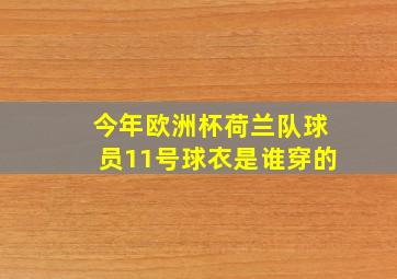 今年欧洲杯荷兰队球员11号球衣是谁穿的