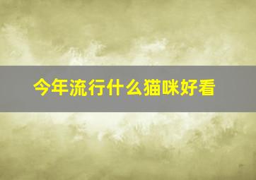 今年流行什么猫咪好看