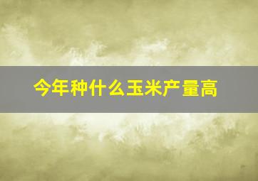 今年种什么玉米产量高