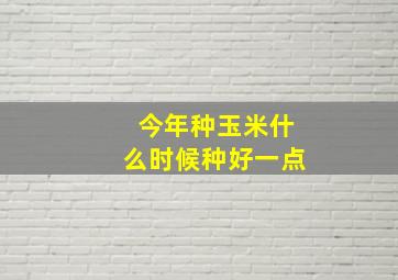 今年种玉米什么时候种好一点