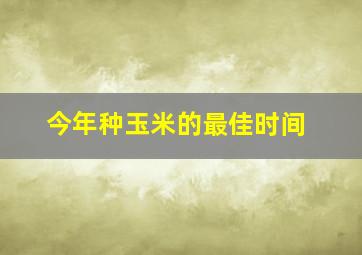 今年种玉米的最佳时间