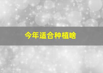 今年适合种植啥