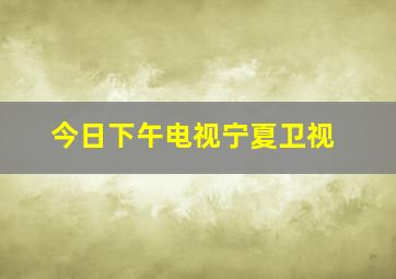 今日下午电视宁夏卫视