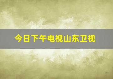 今日下午电视山东卫视