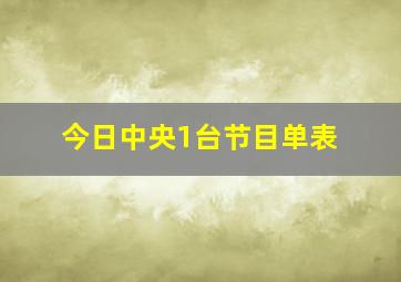 今日中央1台节目单表