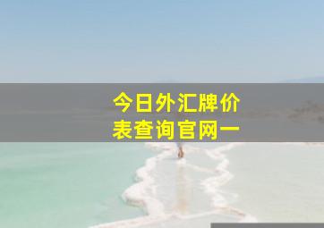 今日外汇牌价表查询官网一