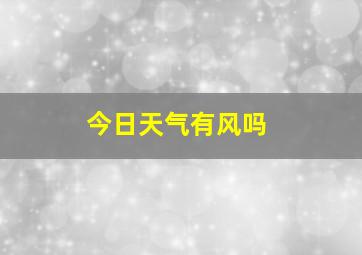 今日天气有风吗