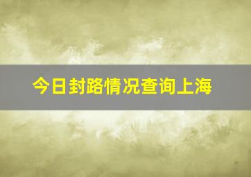 今日封路情况查询上海