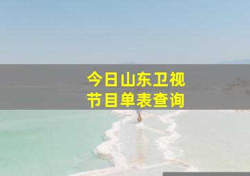 今日山东卫视节目单表查询