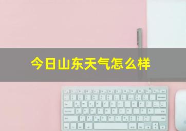 今日山东天气怎么样