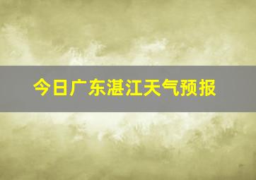 今日广东湛江天气预报